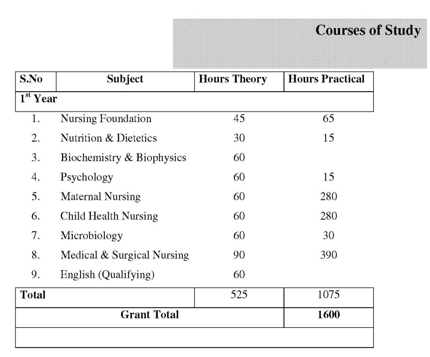phd nursing syllabus pdf